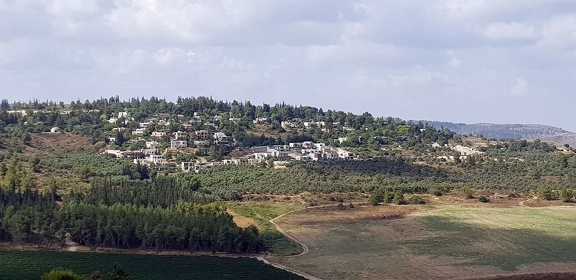 view of village from latrun 03