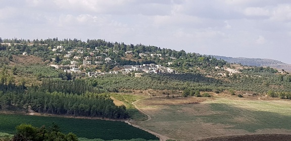 view of village from latrun 04