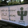 embrace peace 038