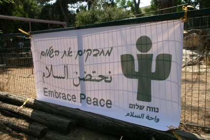 embrace peace 038