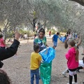 2022-10-27-PS-olive-picking-12