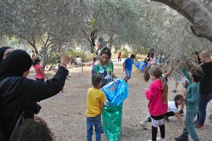 2022-10-27-PS-olive-picking-12